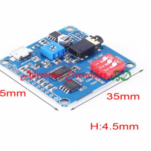 Voice Playback Module